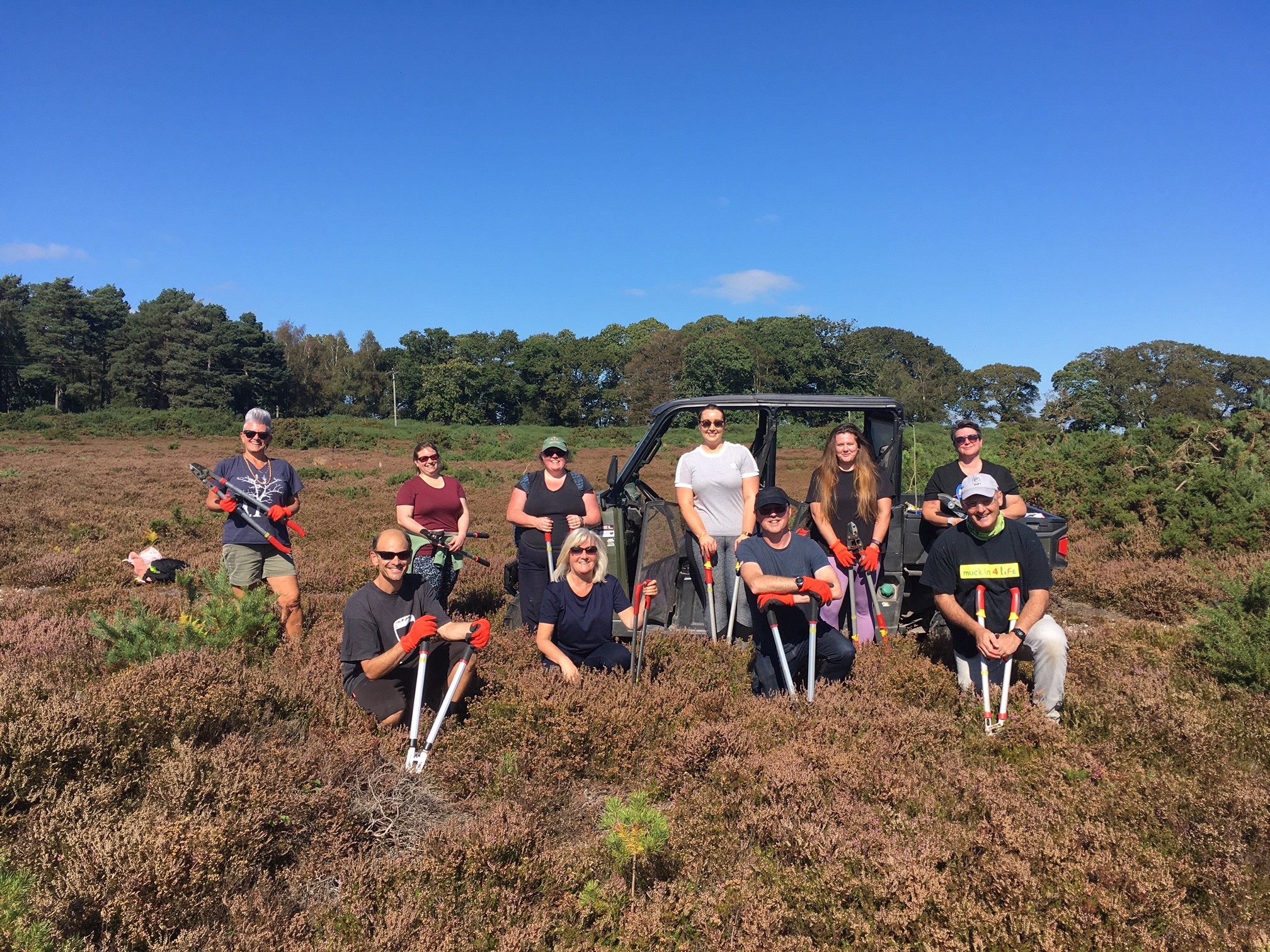 The DCR team volunteering at RSPB Arne
