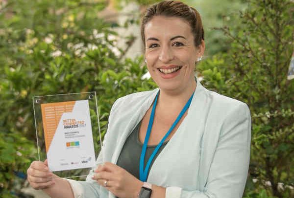 SOCITM 2017 award