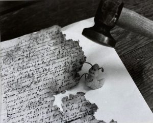 Black and white photograph of a pretend bug about to be squashed by a hammer.