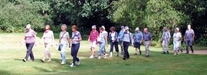 Health walks