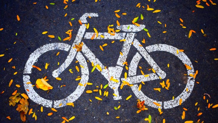 white lining of bicycle on pavement with autumn leaves