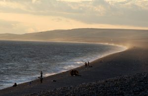 Chesil Cove