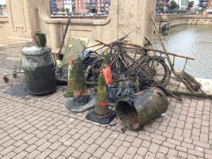 Clean-up of Radipole Lake