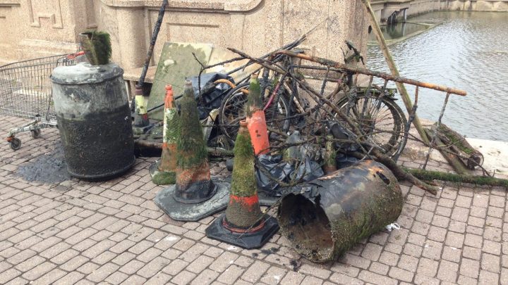 Clean-up of Radipole Lake
