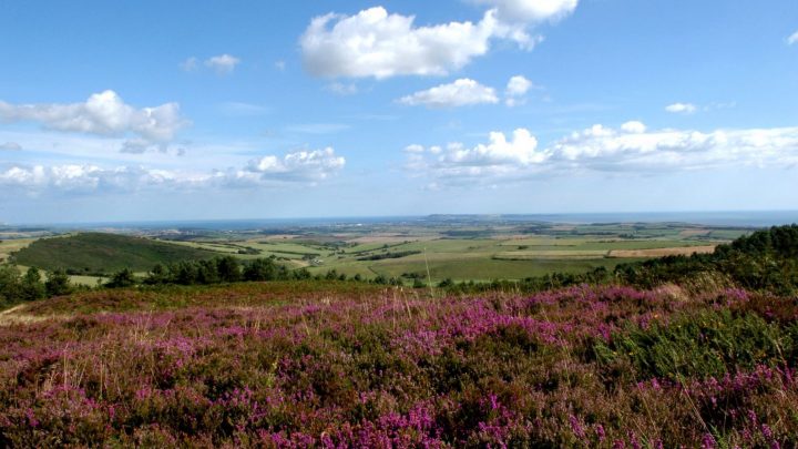 View from Hardy Monument