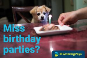 Become a foster carer - all you need is love and a spare room #fosteringpays