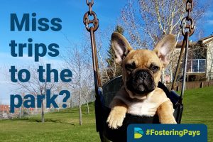 Become a foster carer - all you need is love and a spare room #fosteringpays