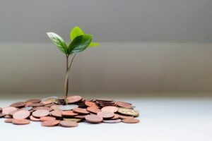 Tree growing out of money