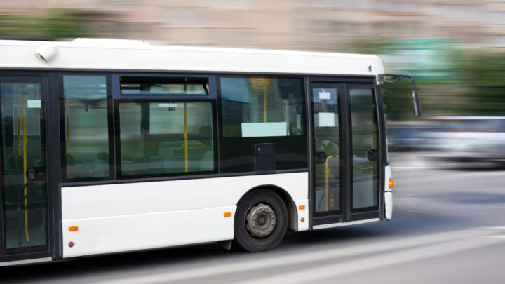 White bus