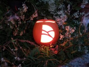 Dorset Council pumpkin