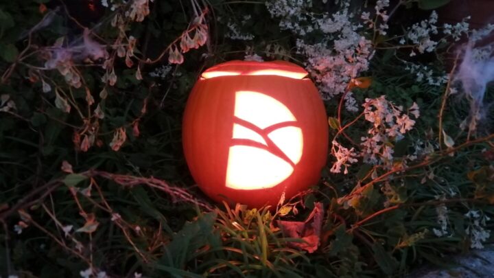 Dorset Council pumpkin