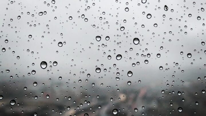 Rain