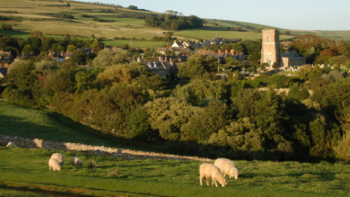 Abbotsbury hillside