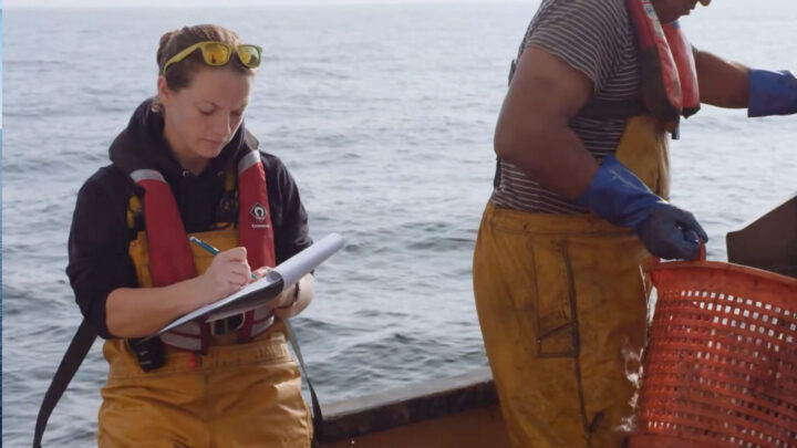 monitoring shellfish growth