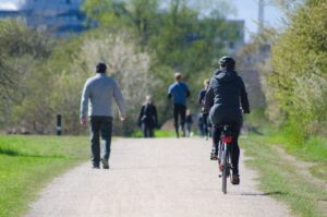 People cycling and walking in a park