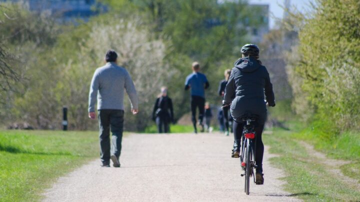 People cycling and walking in a park