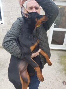 Peter Harman with Doberman puppy