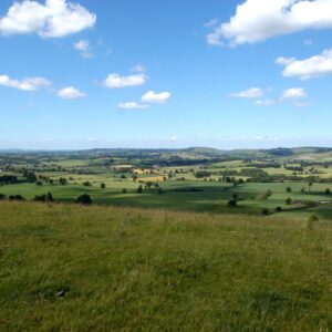 Dorset views