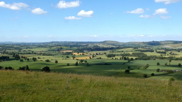 Dorset views