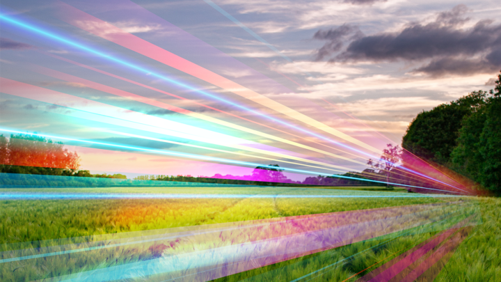 Dorset Council and local parishes are calling for more national action to help get fast broadband to the county's hardest to reach areas.