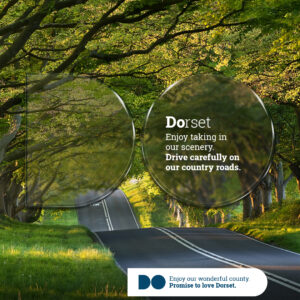 Drive Carefully in Dorset