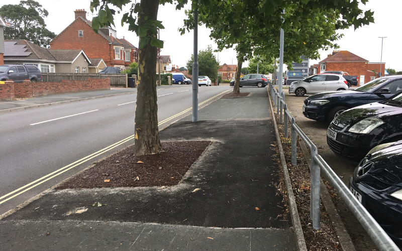 A view of finished pavement repairs along with the JungleMulch installed around tree root area
