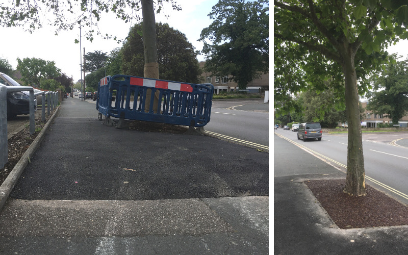 first image showing new smoothed pavement replacement next to image of jungle mulch in place round base of tree