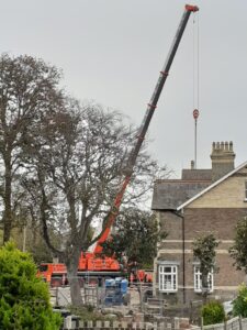 modular home delivery by crane