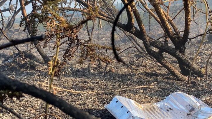 Picture showing discarded BBQ