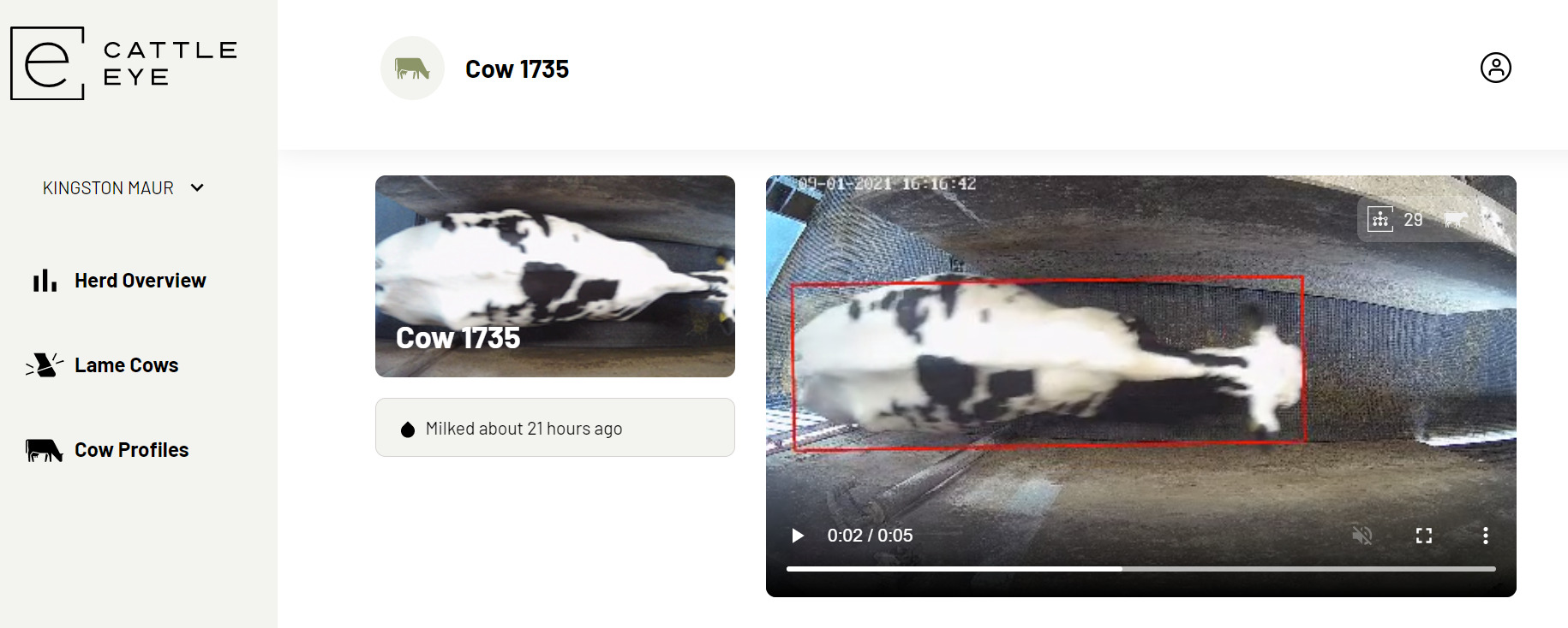 Cattle Eye connected cow software