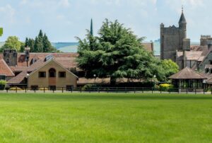 buildings and grass