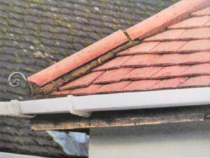 roof tile image