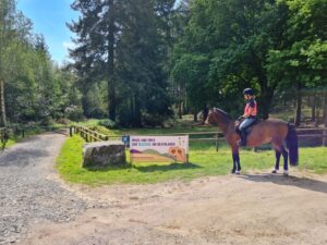 Pony and rider with bbq banner