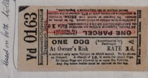 A dog’s ticket to ride (accompanied by passenger)