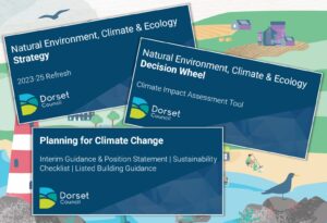 Dorset landscape showing three cabinet report titles; Natural Environment, Climate & Ecology Strategy, Planning for Climate Change, and Natural Environment, Climate & Ecology Decision Wheel