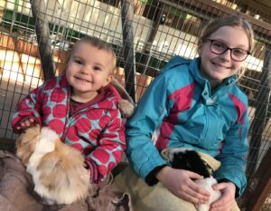 Two children with guinea pigs sat on their laps