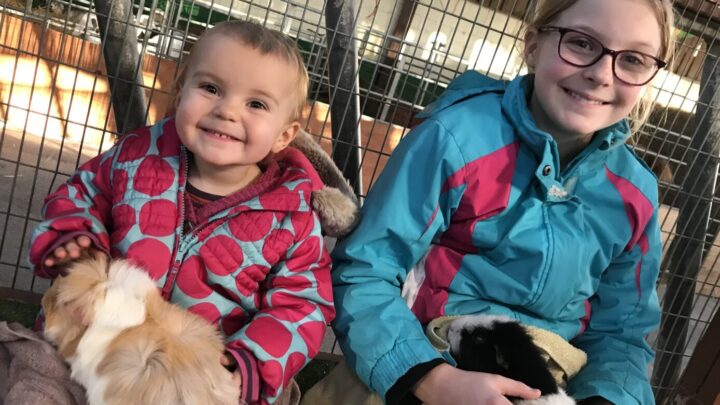 Two children with guinea pigs sat on their laps