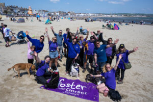 A group of people and dogs wearing purple tshirts on the beach