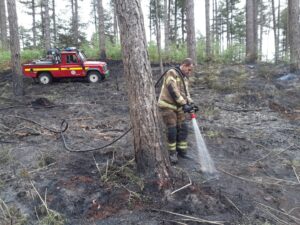 Firefighters using a hose to dampen hot spots on heathlandin