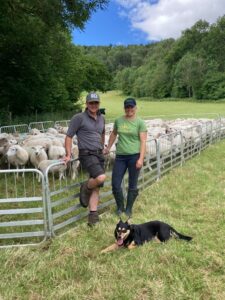 two individuals standing in front of sheep pen with sheep dog