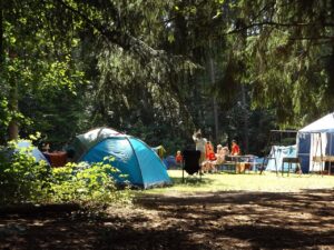 three tents in a forest clearing