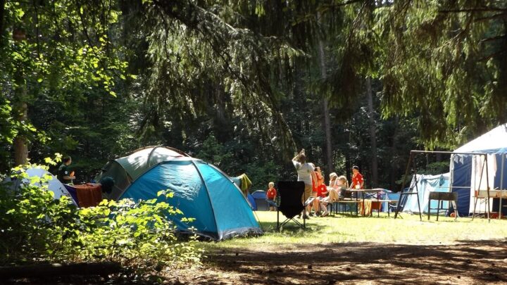 three tents in a forest clearing