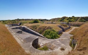 Photograph of old concrete battery site with overgrown vegetation