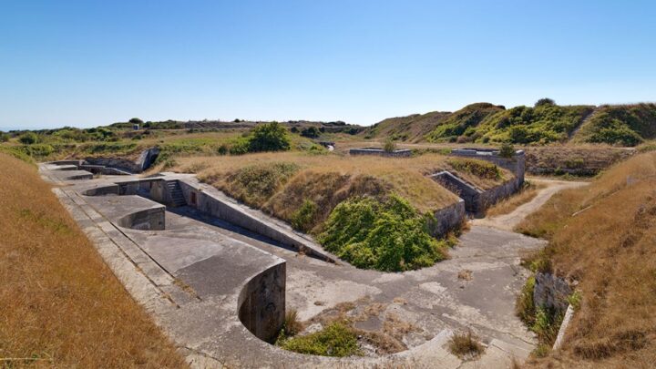 Photograph of old concrete battery site with overgrown vegetation