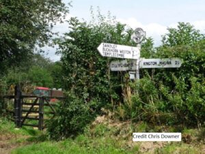 A white fingerpost with black writing showing directions to Buckhorn WEston and Kington Magna