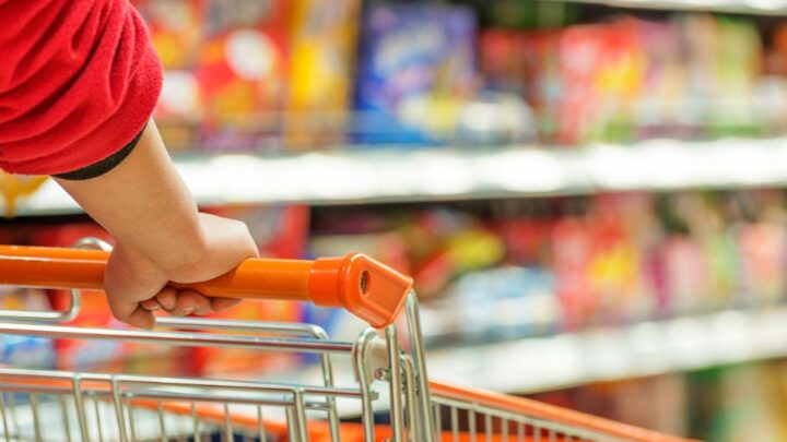 Someone pushing a trolley in a supermarket